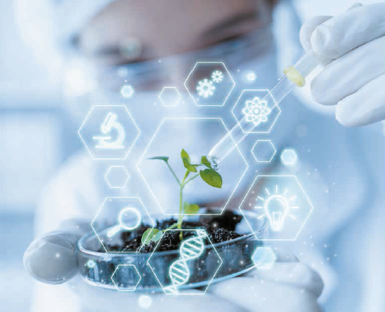 Преодолевая преграды: инновации в биодоступности твердых лекарственных форм для перорального применения