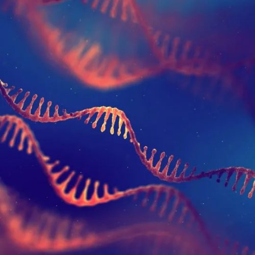 Нові інструменти PRIME для пришвидшення розробки ліків у ЄС