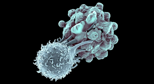 «Темний геном» пухлин: новий напрям у розробці протиракових вакцин